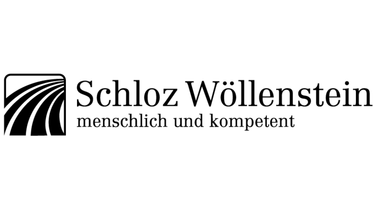 Logo Schloz Wöllenstein
